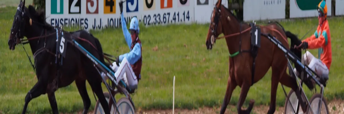 Image Pose abri de piscine Argentan