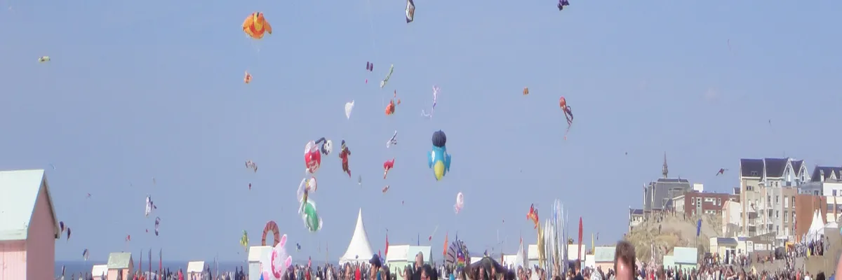 Image Pose abri de piscine Berck
