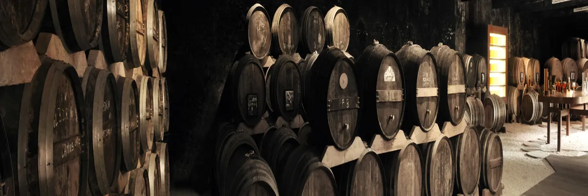 Image Pose abri de piscine Cognac