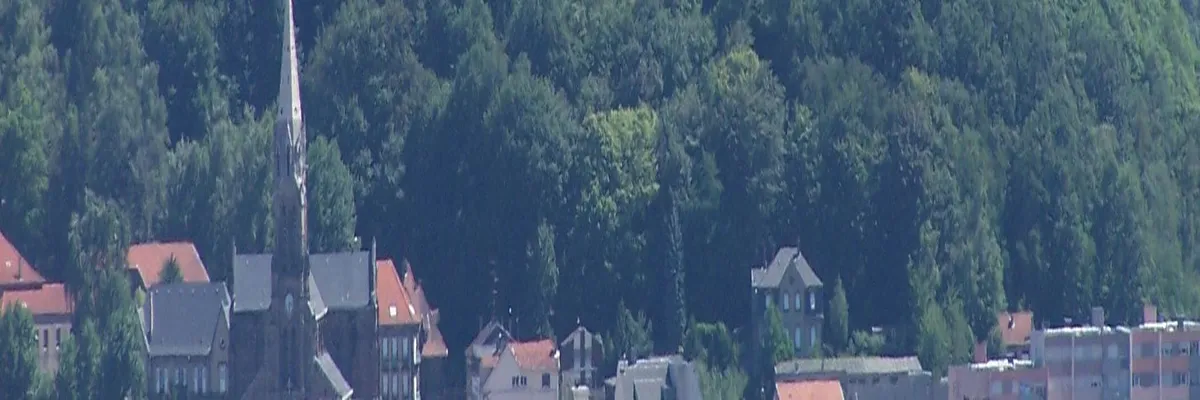 Image Pose abri de piscine Forbach