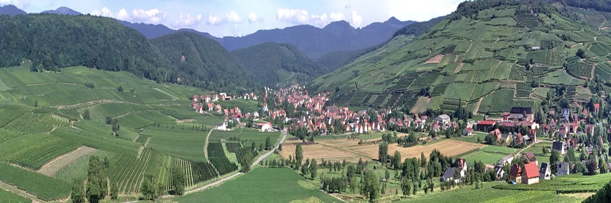 Image Pose abri de piscine Grand Est