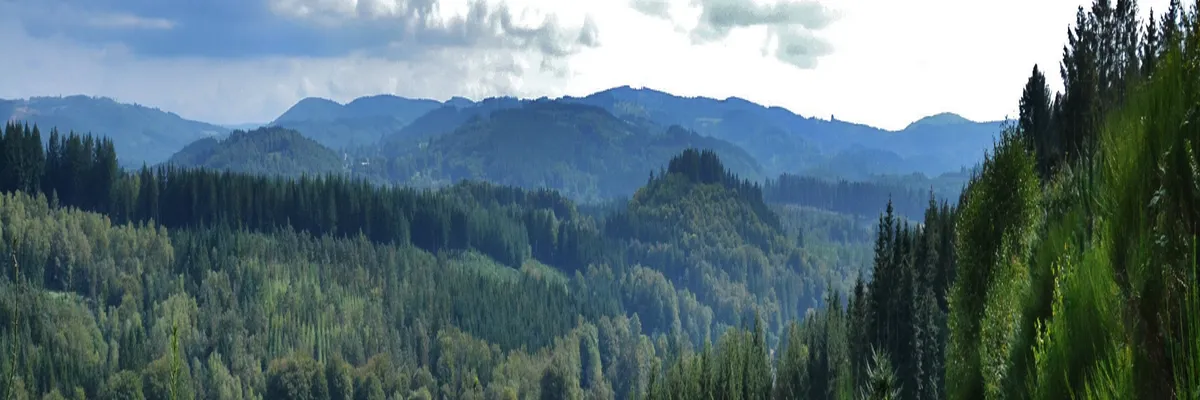 Image Pose abri de piscine Haute-Vienne