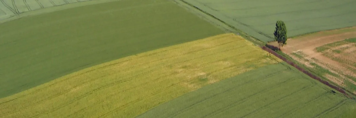 Image Pose abri de piscine Hauts-de-France