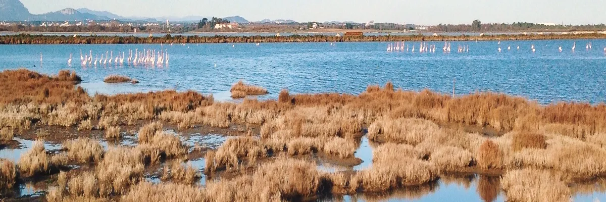 Image Pose abri de piscine Lattes