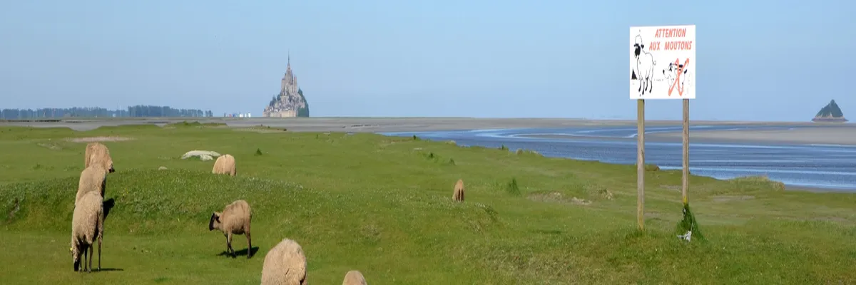 Image Pose abri de piscine Manche