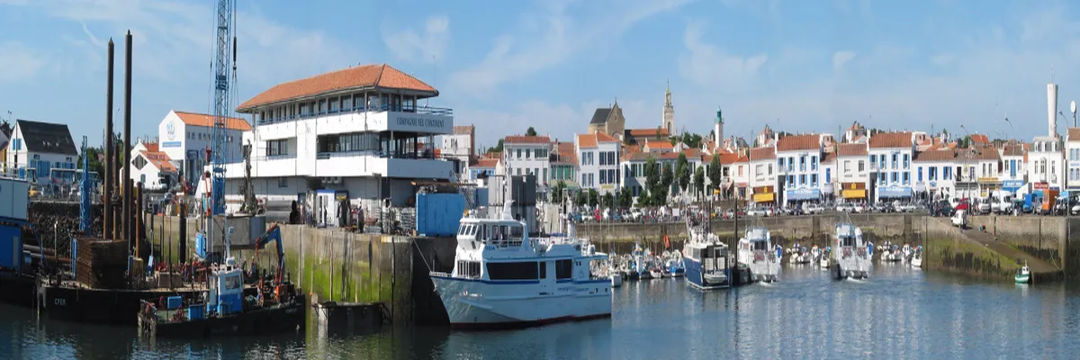 Image Pose abri de piscine Pays de la Loire