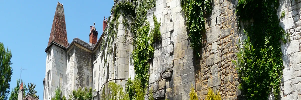 Image Pose abri de piscine Périgueux