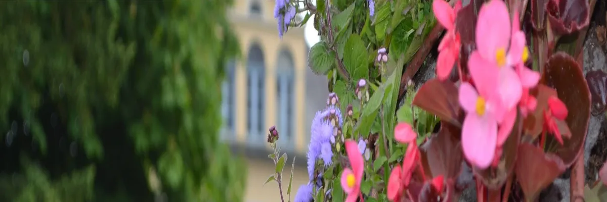 Image Pose abri de piscine Saint-Étienne-au-Mont