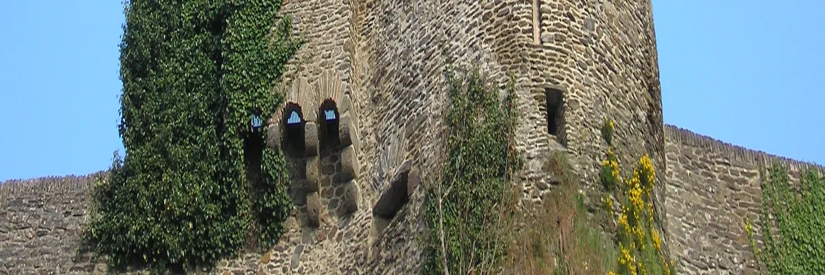 Image Pose abri de piscine Saint-Lô