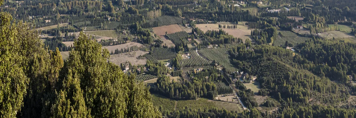 Image Pose abri de piscine Saint-Rémy-de-Provence