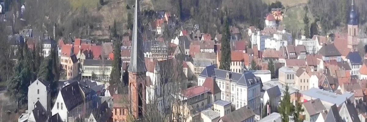 Image Pose abri de piscine Sainte-Marie-aux-Mines