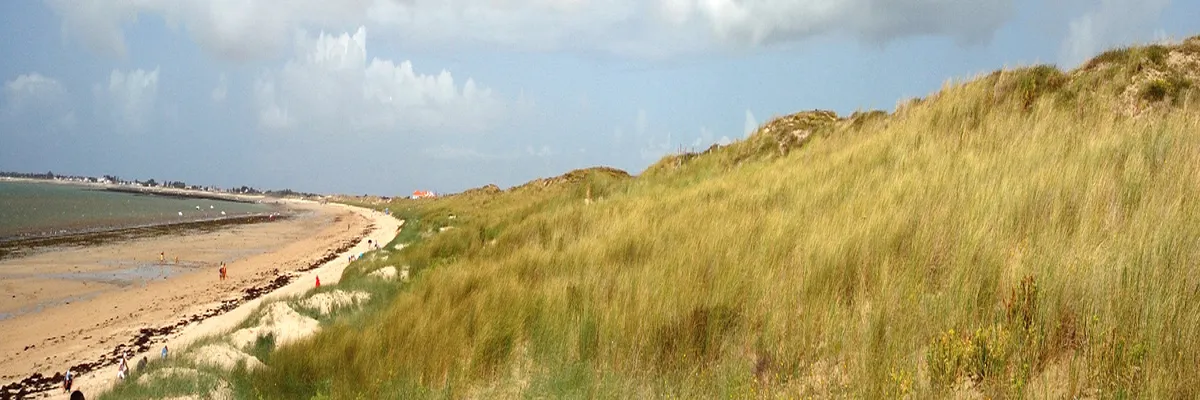 Image Pose abri de piscine Vendée