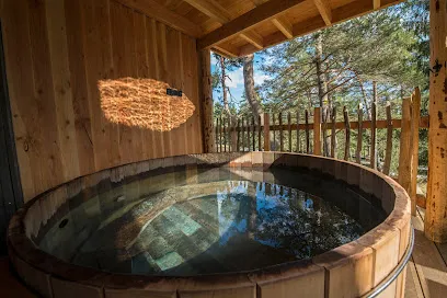 Image de Cabanes dans les arbres Nids des Vosges