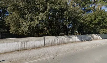 Image de Chambres d'hôtes à l'abri des pins