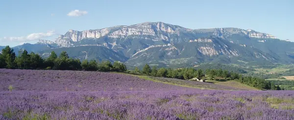 Abri Piscine Aluminium Pose abri de piscine Drôme