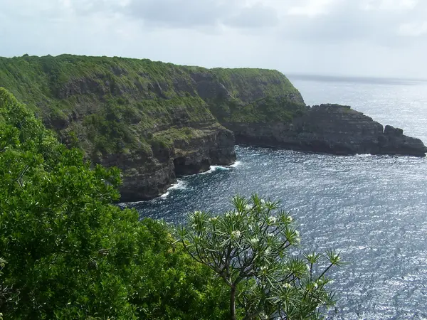 Abri Piscine Aluminium Pose abri de piscine Guadeloupe