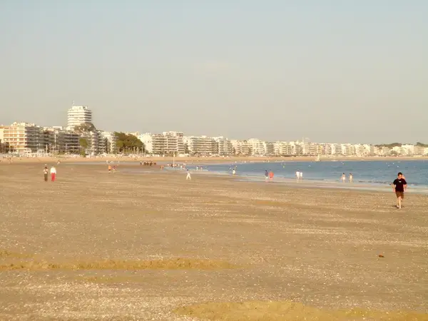 Abri Piscine Aluminium Pose abri de piscine La Baule-Escoublac