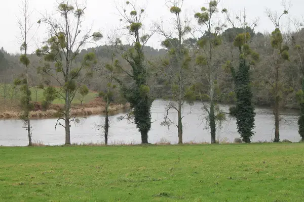 Abri Piscine Aluminium Pose abri de piscine Muzillac