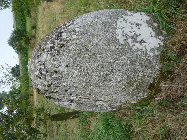 Abri Piscine Aluminium Pose abri de piscine Plaintel